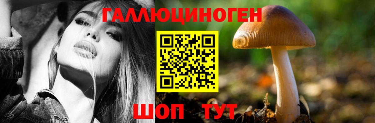 Галлюциногенные грибы MAGIC MUSHROOMS  продажа наркотиков  Вход с VPN  Воткинск  Галлюциногенные грибы Psilocybine cubensis 